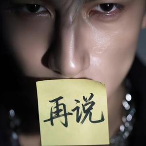 再说
