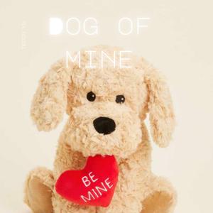 Dog of mine
