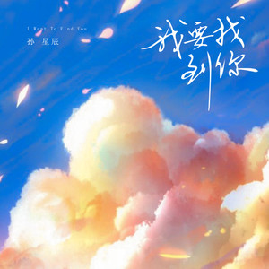 我想要找到你 (原版)