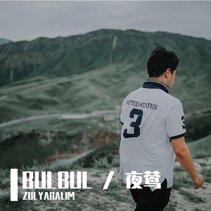 BULBUL / 夜莺