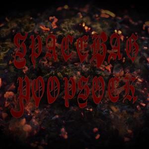 The Stinkerer / Spacebag Poopsock