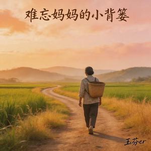 难忘妈妈的小背篓