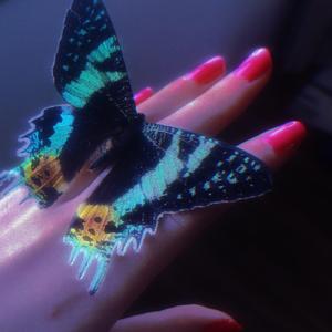 冬 日 旅 社 (翻自♡万花筒artascope)