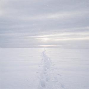 Șuerul iernii (Ultra-Sensitive Hopeful Version)