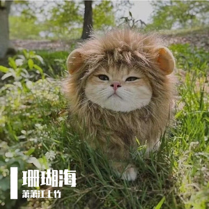 力洗离冲撒小啦