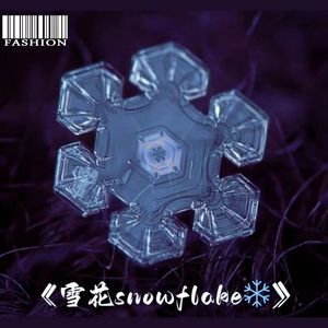 雪花snowflake.(未变调版)
