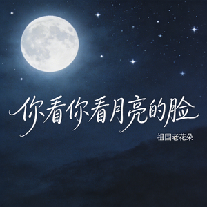 你看你看月亮的脸（原版）
