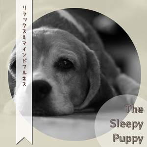 Vacation from Melancholy