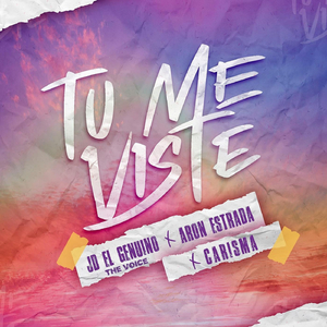 Tu Me Viste