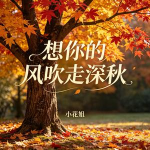 想你的风吹走深秋