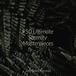 Serene Echoes