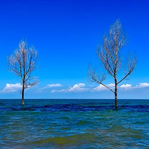 一觉醒来（cover 赵英俊）