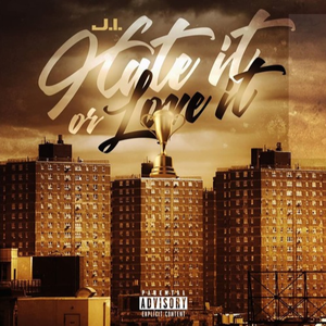 Hate It Or Love It (Prod By. Palaze)