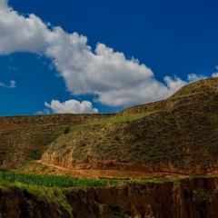 哥哥的心头肉(电子琴)