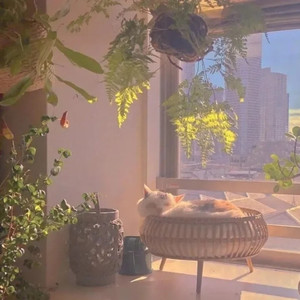 落日余晖 高档餐厅轻音乐