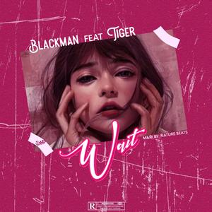 Wait (feat. Tiger)