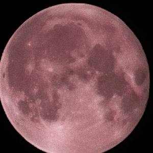 卤蛋感情受伤了