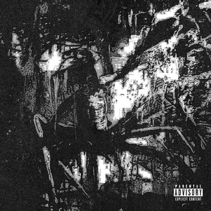 PICUN (feat. L1l_Eg0, Plugga & playbowshawty)
