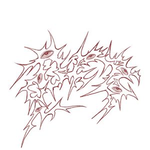 悲失离(背时嘞）