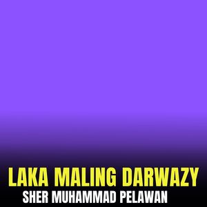 Laka Maling Darwazy