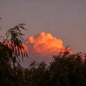 美酒加咖啡 (热血女版)