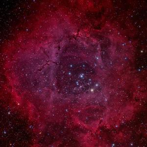 玫瑰星云（NGC 2237）