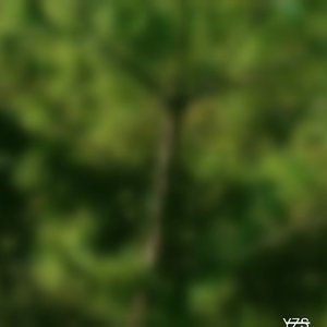 SOMEthing New___