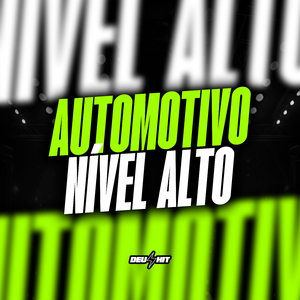 AUTOMOTIVO NIVEL AUTO