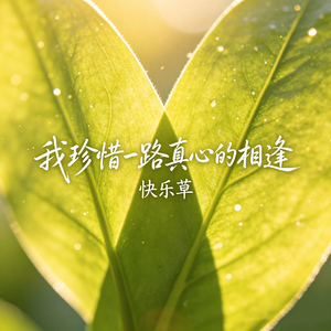 我珍惜一路真心的相逢