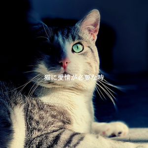 Smart Smooth Jazz Saxophone - Vibe for Bangkok Coffee Bars