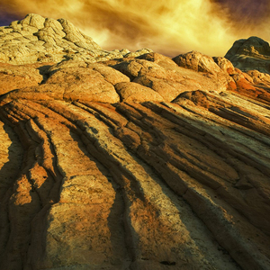 每当雪花纷纷飘落