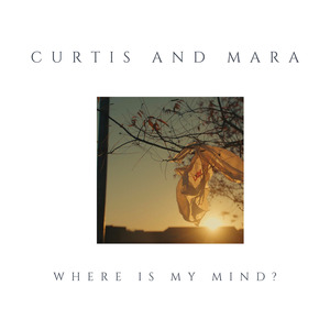 Where Is My Mind?