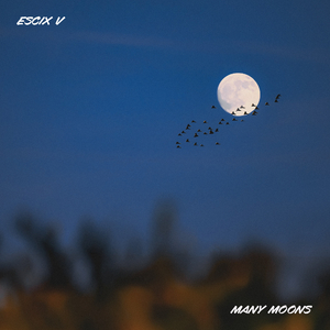 Many Moons