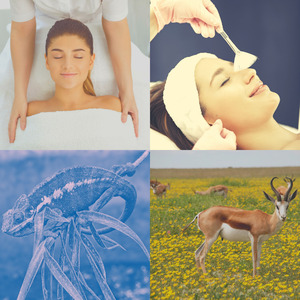 诗意的水疗日节奏