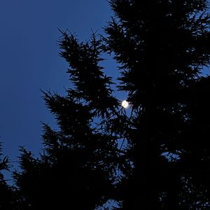 [Feel like making love]