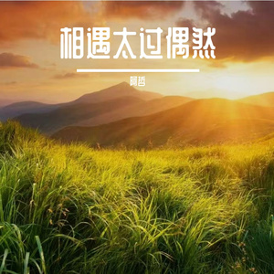 沉默代替回应