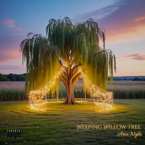 Weeping Willow Tree