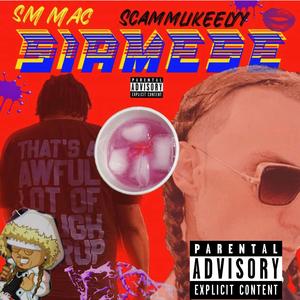 Siamese (feat. Scammlikeelyy)