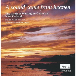 Agnus Dei (Missa brevis)