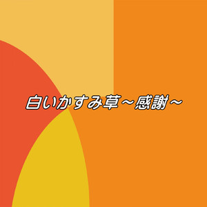 白いかすみ草～感謝～