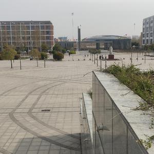 蝶儿总在空中飞