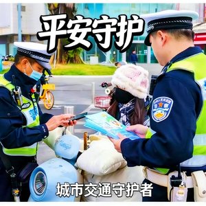 平安东莞 法治东莞