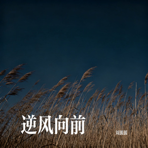 逆风向前