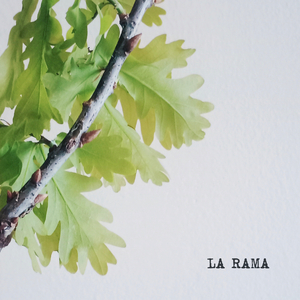 La rama