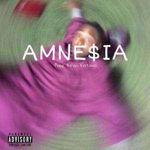 Amne$ia