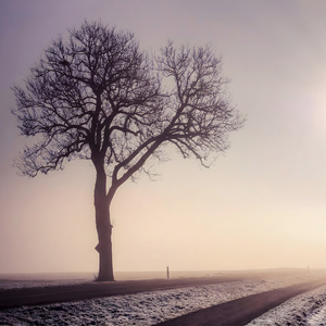 Le plus court chemin