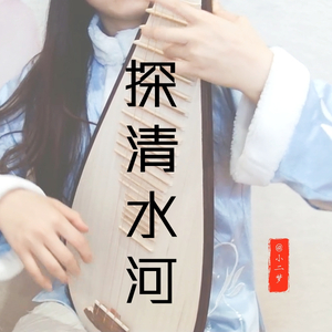 【琵琶弹唱】探清水河（翻自 张云雷）