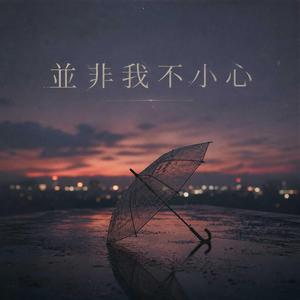 並非我不小心