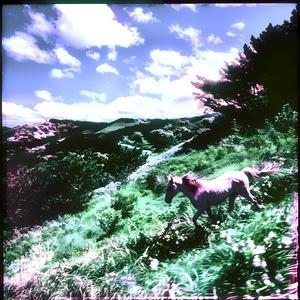 Tu presencia (Instrumental)