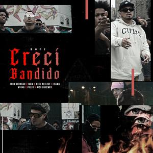 Creci Bandido (Dope)